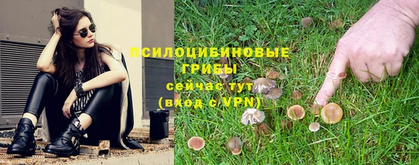 гашик Пестово
