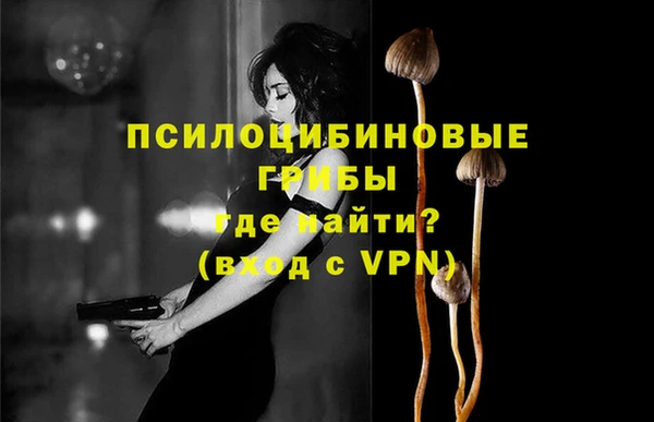 ПСИЛОЦИБИНОВЫЕ ГРИБЫ Переславль-Залесский
