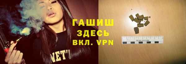 гашик Пестово