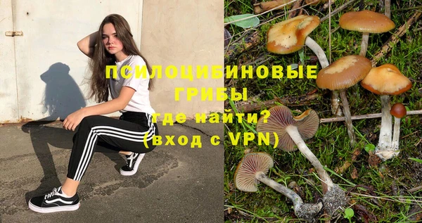 ПСИЛОЦИБИНОВЫЕ ГРИБЫ Переславль-Залесский