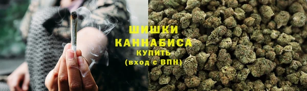 шишки Баксан